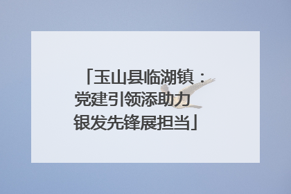 玉山县临湖镇：党建引领添助力 银发先锋展担当