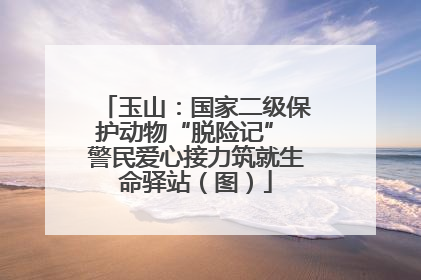 玉山：国家二级保护动物“脱险记” 警民爱心接力筑就生命驿站（图）