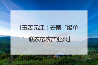 玉溪元江：芒果“爆单” 联农带农产业兴