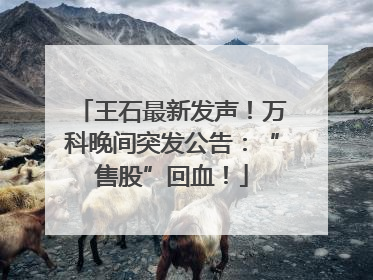 王石最新发声！万科晚间突发公告：“售股”回血！
