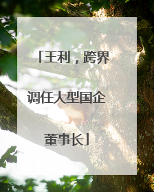 王利，跨界调任大型国企董事长