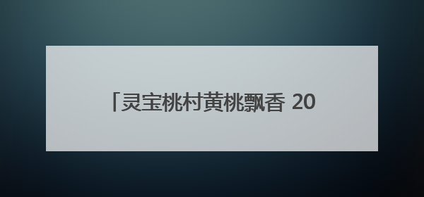 灵宝桃村黄桃飘香 2000亩果园结出致富硕果