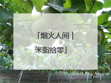 烟火人间｜米脂拾零