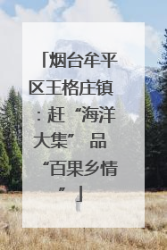 烟台牟平区王格庄镇：赶“海洋大集” 品“百果乡情”