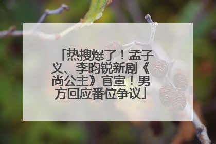 热搜爆了！孟子义、李昀锐新剧《尚公主》官宣！男方回应番位争议