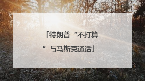 特朗普“不打算”与马斯克通话