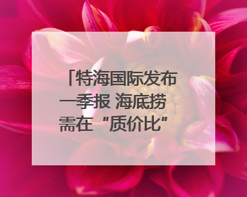 特海国际发布一季报 海底捞需在“质价比”和“体验感”中找到平衡｜新经济观察