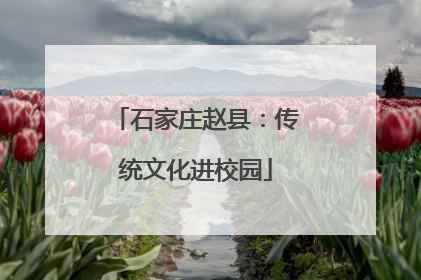 石家庄赵县：传统文化进校园