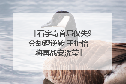 石宇奇首局仅失9分却遭逆转 王祉怡将再战安洗莹