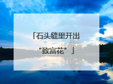 石头缝里开出“致富花”