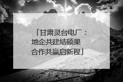 甘肃灵台电厂：地企共建结硕果 合作共赢启新程