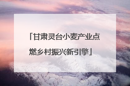 甘肃灵台小麦产业点燃乡村振兴新引擎