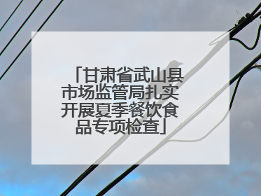 甘肃省武山县市场监管局扎实开展夏季餐饮食品专项检查