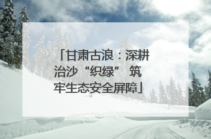 甘肃古浪：深耕治沙“织绿” 筑牢生态安全屏障