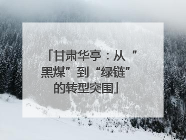 甘肃华亭：从“黑煤”到“绿链”的转型突围