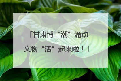 甘肃博“潮”涌动 文物“活”起来啦！