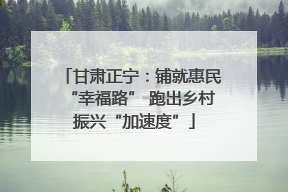 甘肃正宁：铺就惠民“幸福路” 跑出乡村振兴“加速度”