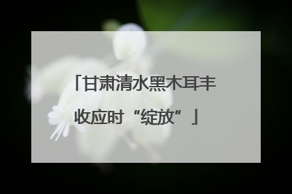 甘肃清水黑木耳丰收应时“绽放”