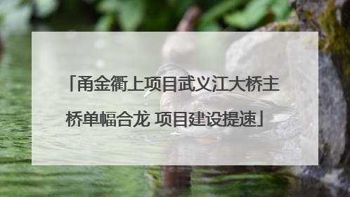 甬金衢上项目武义江大桥主桥单幅合龙 项目建设提速