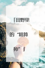 田野里的“精算师”