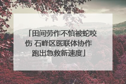 田间劳作不慎被蛇咬伤 石峰区医联体协作跑出急救新速度