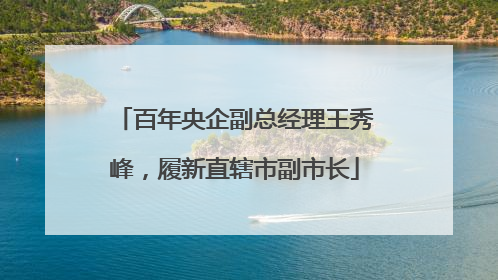 百年央企副总经理王秀峰，履新直辖市副市长