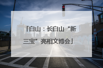 白山：长白山“新三宝”亮相文博会