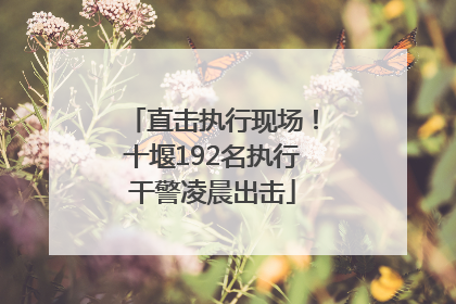 直击执行现场！十堰192名执行干警凌晨出击
