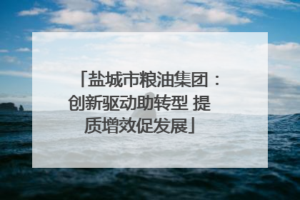 盐城市粮油集团：创新驱动助转型 提质增效促发展