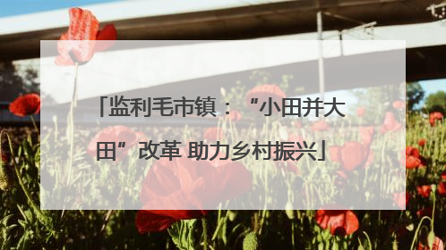 监利毛市镇：“小田并大田”改革 助力乡村振兴