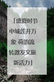 盛夏时节申城莲开万象 荷韵流转激发文旅新活力