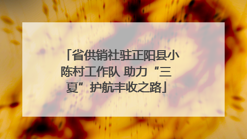 省供销社驻正阳县小陈村工作队 助力“三夏”护航丰收之路