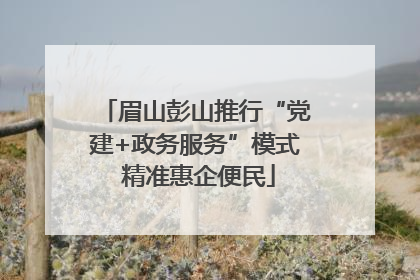 眉山彭山推行“党建+政务服务”模式 精准惠企便民