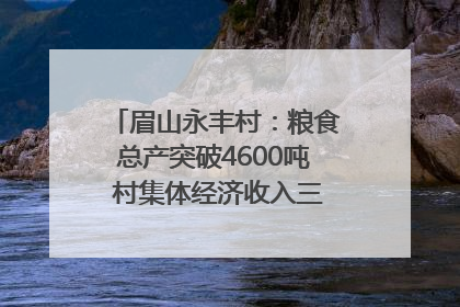 眉山永丰村：粮食总产突破4600吨 村集体经济收入三年倍增｜牵挂的村