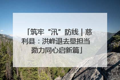 筑牢“汛”防线｜慈利县：洪峰退去显担当 勠力同心启新篇