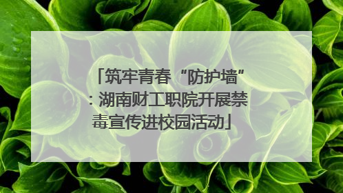 筑牢青春“防护墙”：湖南财工职院开展禁毒宣传进校园活动