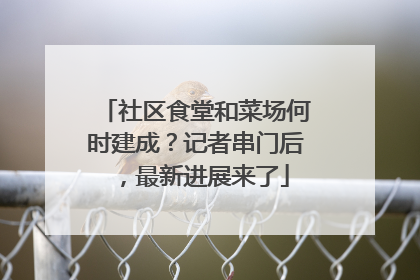 社区食堂和菜场何时建成？记者串门后，最新进展来了