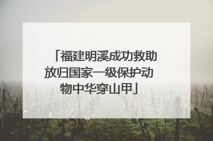 福建明溪成功救助放归国家一级保护动物中华穿山甲