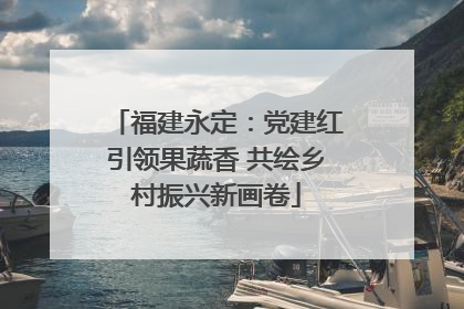 福建永定：党建红引领果蔬香 共绘乡村振兴新画卷