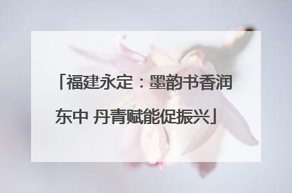 福建永定：墨韵书香润东中 丹青赋能促振兴