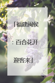 福建闽侯：百合花开迎客来