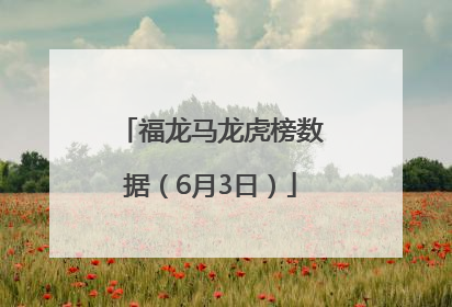 福龙马龙虎榜数据（6月3日）