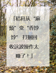 秸秆从“麻烦”变“香饽饽” 打捆回收这波操作太赚了！