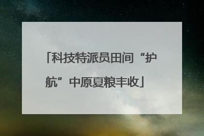 科技特派员田间“护航”中原夏粮丰收