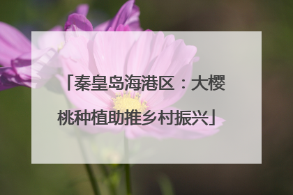 秦皇岛海港区：大樱桃种植助推乡村振兴