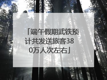 端午假期武铁预计共发送旅客380万人次左右
