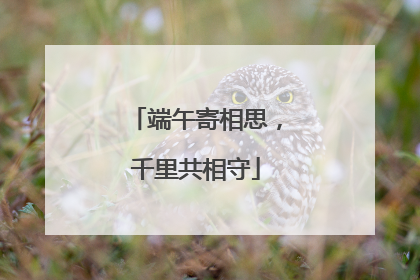 端午寄相思，千里共相守