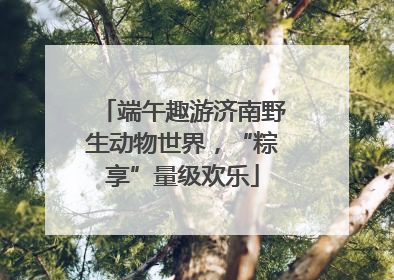 端午趣游济南野生动物世界，“粽享”量级欢乐