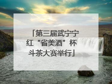 第三届武宁宁红“省美酒”杯斗茶大赛举行