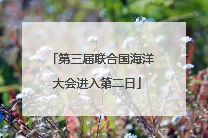 第三届联合国海洋大会进入第二日